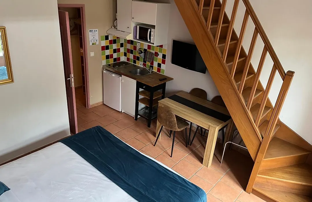 Appart'Hotel Festival Sud Suites - Avignon TGV-1